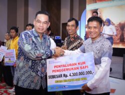 Dukung Program Pemerintah, Bank Sumsel Babel Akan Resmikan KUR Sapi