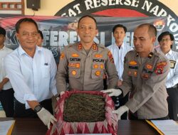 Polres Bangka Barat Ungkap Penyelundupan 2 Kg Ganja Melalui JNE EXPRESS