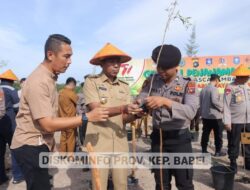 Ada 167.104 Hektar Lahan Kritis di Kepulauan Babel