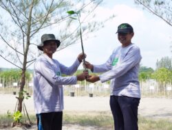 Peringati Hari Mangrove Sedunia, PT Timah Tbk Tanam 5000 Mangrove di Pantai Menuang