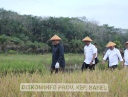 Kunjungi Desa Petaling Jaya, Wamentan RI Ajak Petani Berinovasi Kelola Pertanian