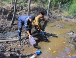 PT Timah Tbk Berdayakan Masyarakat di Lingkar Tambang Lewat Program Budidaya dan Pertanian, Masyarakat Rasakan Dampak Ekonomi