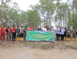 Kolaborasi Bersama Koramil 03 Kundur, PT Timah Tbk Kembali Tanam Mangrove di Kundur