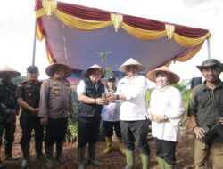 Panen Raya Bersama Masyarakat Desa Banyu Asin, Pj Gubernur Safrizal Tekankan Pentingnya Eksekusi Program Semarak Babel