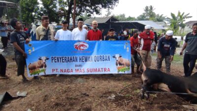 Salurkan 3 Ekor Sapi Qurban, PT NMS Didoakan Warga Segera Beroperasi