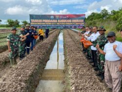 Kolaborasi untuk Ketahanan Pangan Daerah, PT Timah Dukung Kelompok Tani di Belitung Timur Tanam Bawang Merah