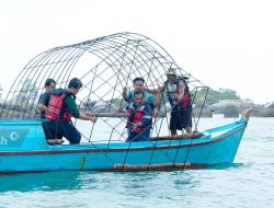 Restorasi Terumbu Karang, PT Timah Kembali Tenggelamkan 37 Unit Coral Garden di  Pulau Putri