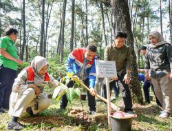 Hari Konservasi Alam Nasional, Pertamina Kuatkan Ekosistem Flora Fauna di Sumbagsel