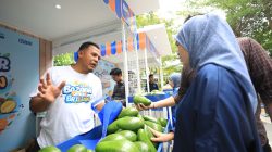 Berkat Program Pemberdayaan BRI Klasterku Hidupku, Petani Ini Berhasil Kembangkan Budidaya Alpukat