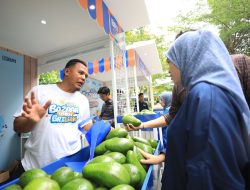 Berkat Program Pemberdayaan BRI Klasterku Hidupku, Petani Ini Berhasil Kembangkan Budidaya Alpukat